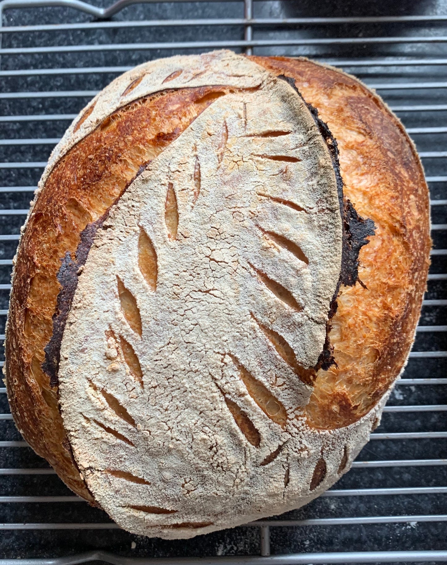 Whole Sourdough Loaf